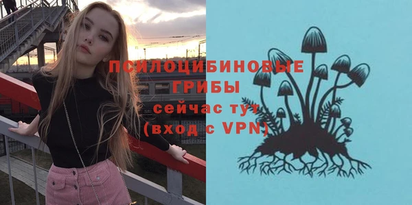 эйфоретик Медвежьегорск