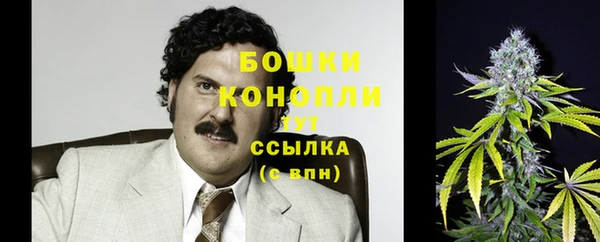 эйфоретик Медвежьегорск