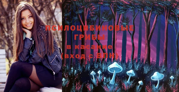 эйфоретик Медвежьегорск